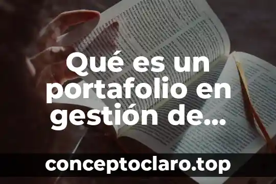 Qué es un portafolio en gestión de proyectos