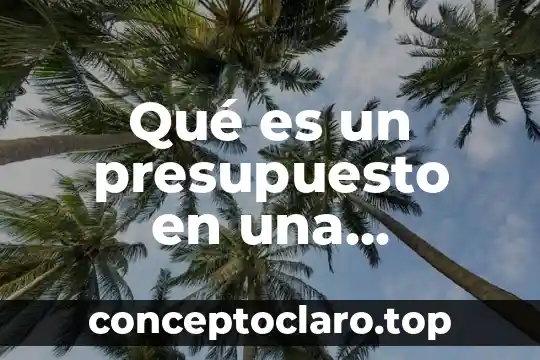Qué es un presupuesto en una organización