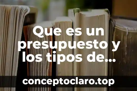 Que es un presupuesto y los tipos de presupuesto