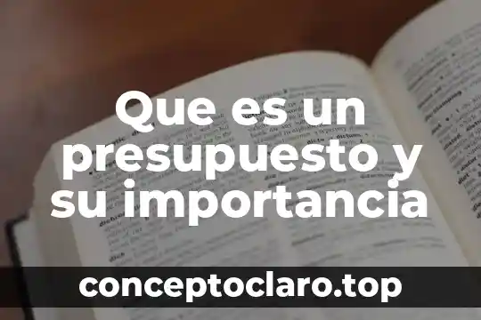 Que es un presupuesto y su importancia