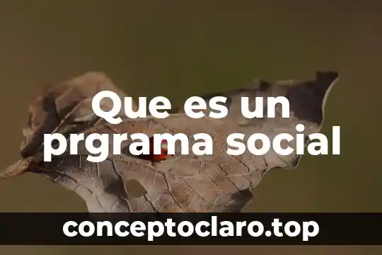 Que es un prgrama social