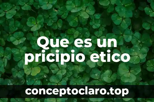 Que es un pricipio etico