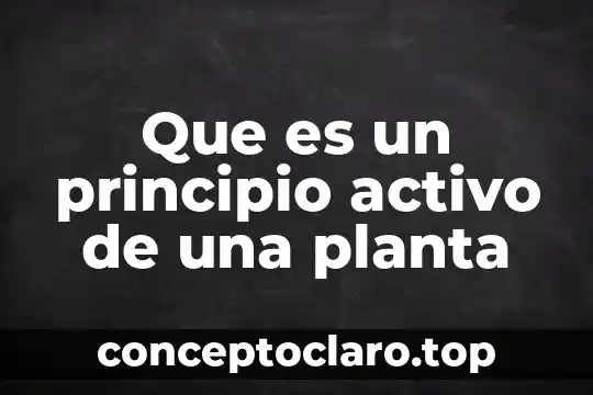 ¿Qué es un circuito activo en deporte? 7 Que es un principio activo de una planta