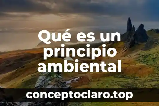 Qué es un principio ambiental