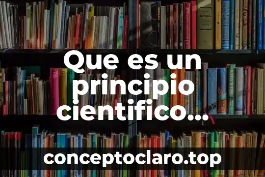 Qué es liderazgo según Mario de Marchis 5 Que es un principio cientifico segun mario bunge