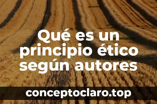 Qué es un principio ético según autores