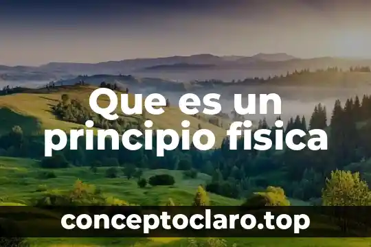 Que es un principio fisica