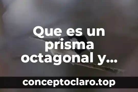 Que es un prisma octagonal y sus caracteristicas