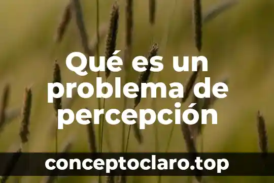 Que es un problema tics 3 Qué es un problema de percepción