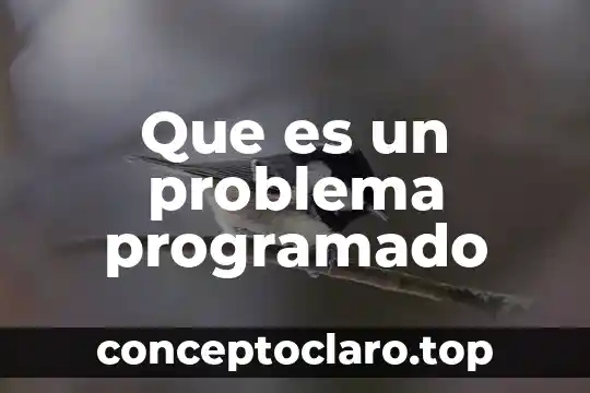Que es ser cauteloza 7 Que es un problema programado