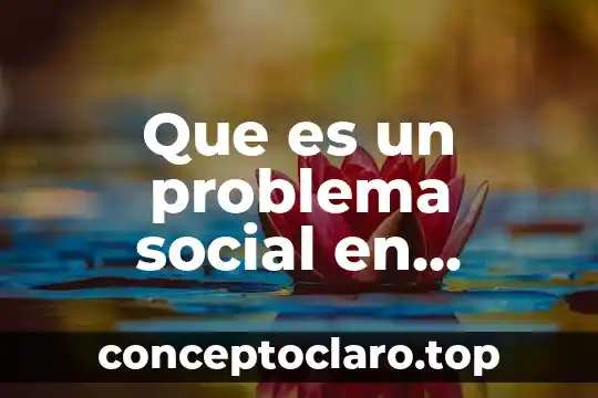 Que es un problema social en sociologia