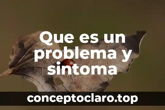 Que es un problema y sintoma