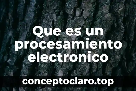 Qué es el procesamiento fonológico en la lectura 6 Que es un procesamiento electronico