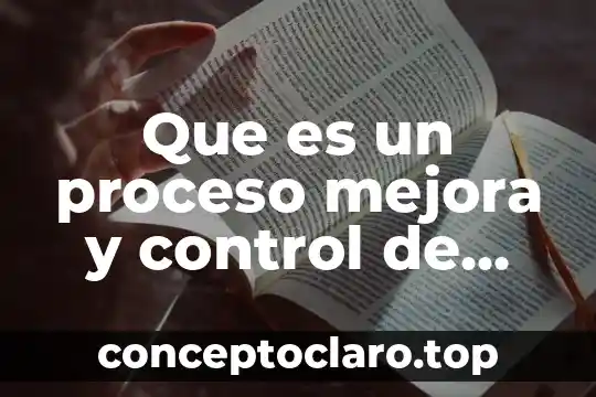 Que es un proceso mejora y control de procesos