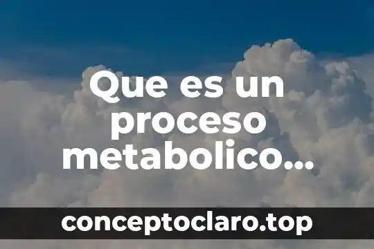 Que es el punto fijo metabolico 8 Que es un proceso metabolico respiracion
