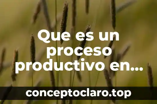Que es un proceso productivo en la industria del vestido
