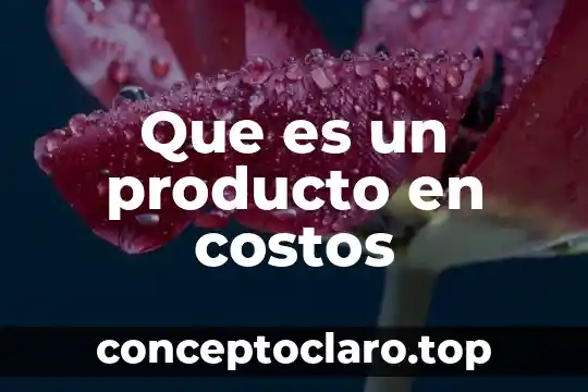 Que es un producto en costos