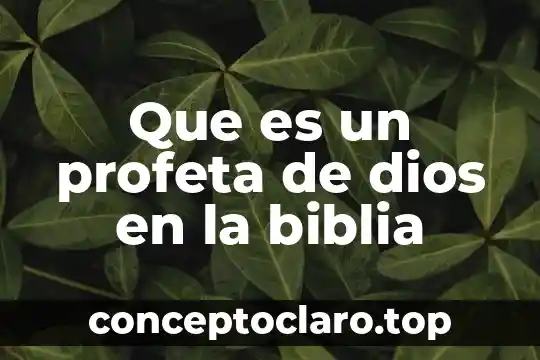 Que es un profeta de dios en la biblia