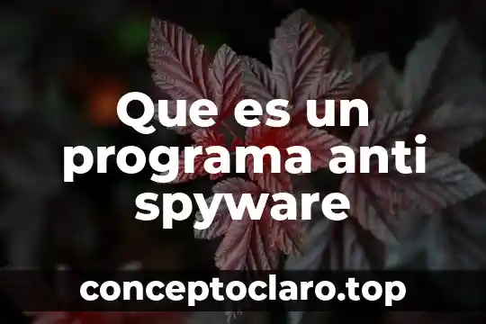 Qué es la protección anti fallo de alimentación 4 Que es un programa anti spyware