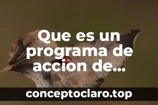 Que es un programa de accion de partidos politicos