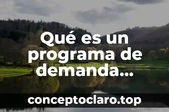 Qué es un programa de demanda económicas