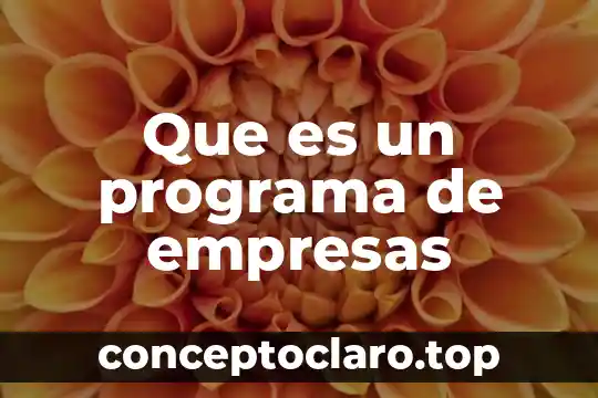 Software estadístico que es usado por las empresas 5 Que es un programa de empresas