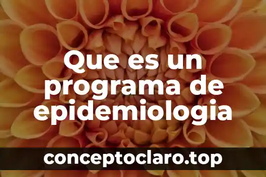 Que es un programa de epidemiologia