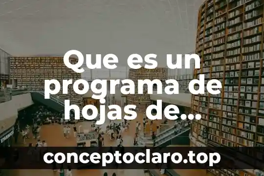 Que es un programa de hojas de calculo informatico