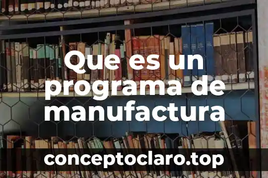 Que es el programa de au pair 6 Que es un programa de manufactura