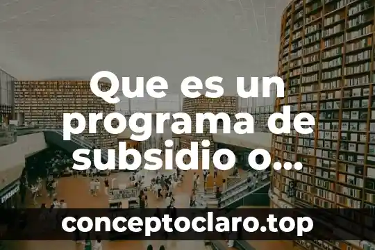 Que es un gripo social 8 Que es un programa de subsidio o infraestructura social