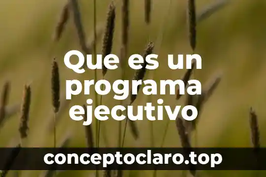 Que es el programa de au pair 4 Que es un programa ejecutivo