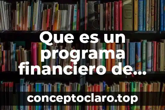 Que es un programa financiero de apoyo