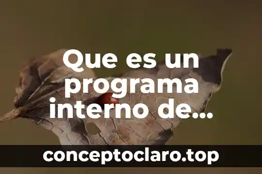Que es un programa interno de protexion sibil