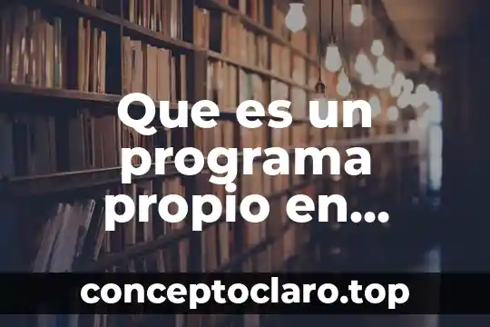 Que es un programa propio en programacion