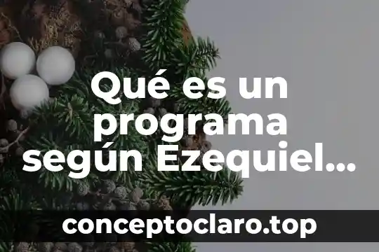 Qué es un diagnóstico según Ezequiel Ander Egg 7 Qué es un programa según Ezequiel Ander-Egg
