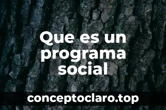 Que es un programa social