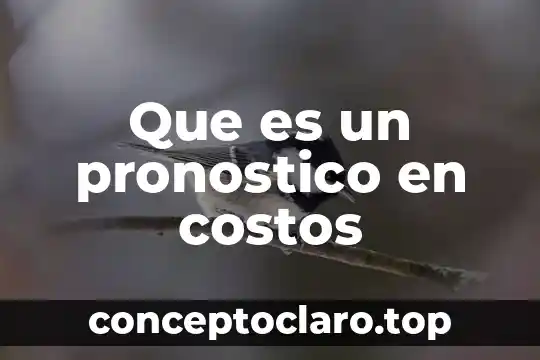 Que es un pronostico en costos
