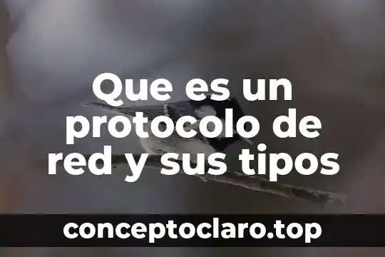 Que es un protocolo de red y sus tipos