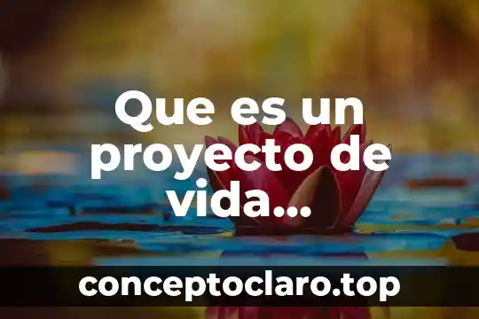 Que es un proyecto de vida bachillerato