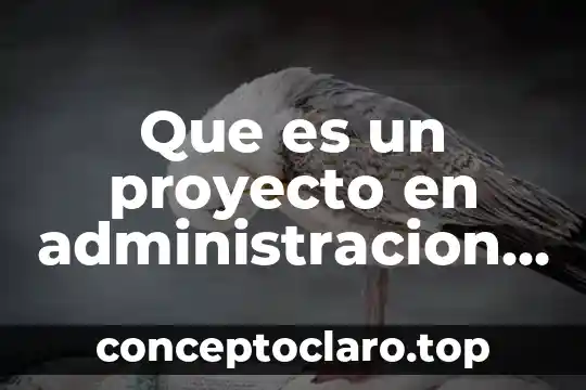 Que es un proyecto en administracion empresarial