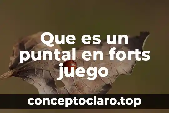 Que es un puntal en forts juego