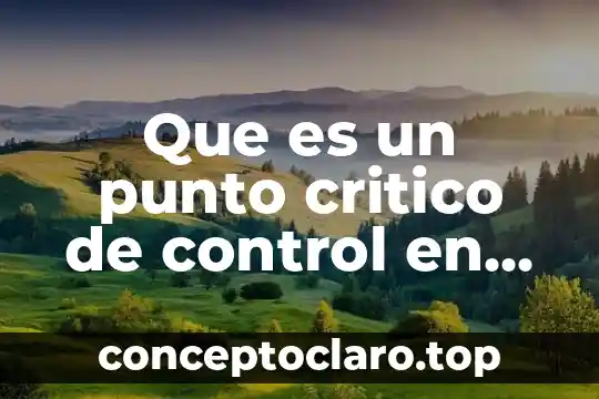 Que es un punto critico de control en administracion