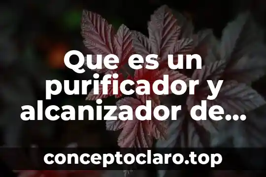 Que es un purificador y alcanizador de agua