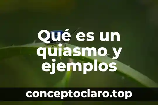 Que significa o que es un slave en informatica 6 Qué es un quiasmo y ejemplos