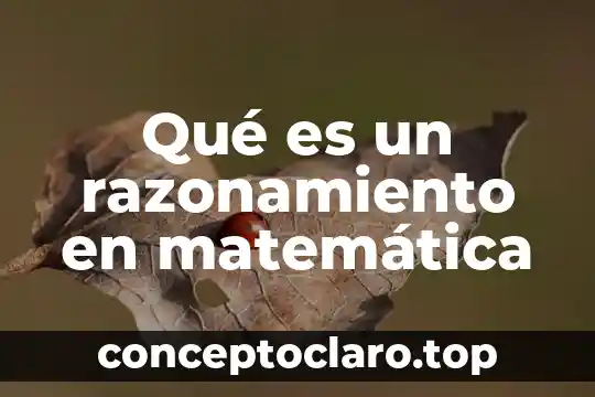 Que es razonamiento objetivo 7 Qué es un razonamiento en matemática