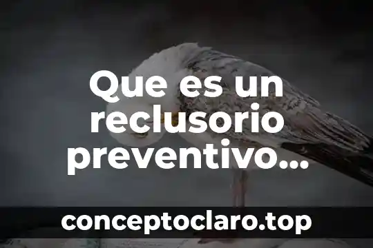 Que es un reclusorio preventivo definicion