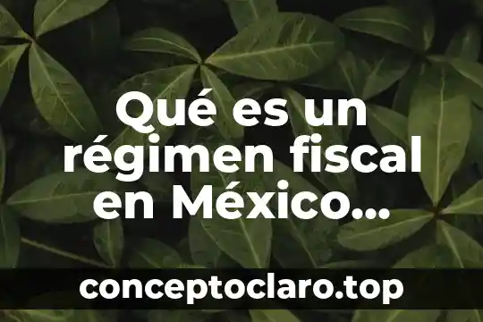 Qué es un régimen fiscal en México concepto