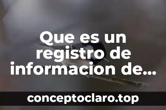 Que es un registro de informacion de un tema