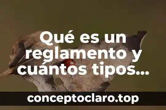 Qué es un reglamento y cuántos tipos de reglamentos hay