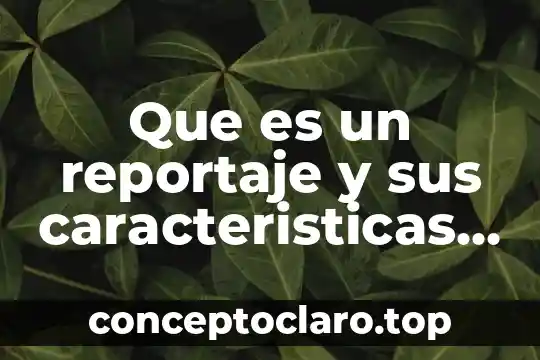 Que es un reportaje y sus caracteristicas para elaborarlo